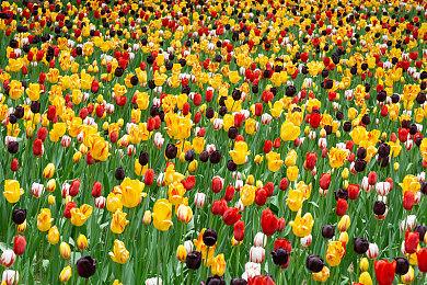 Double Fine工作室暗示Tim Schafer已有新游戏构思